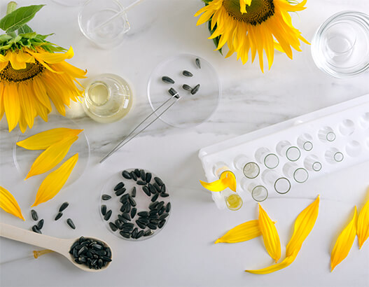 The in-house laboratory